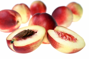 Arctic Fantasy Nectarine Tree