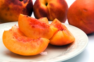 Fantasia Nectarine Tree