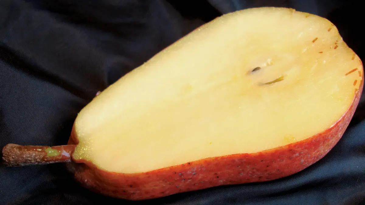 Pineapple Pear Tree Pineapple Pear Tree