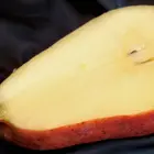 Pineapple Pear Tree