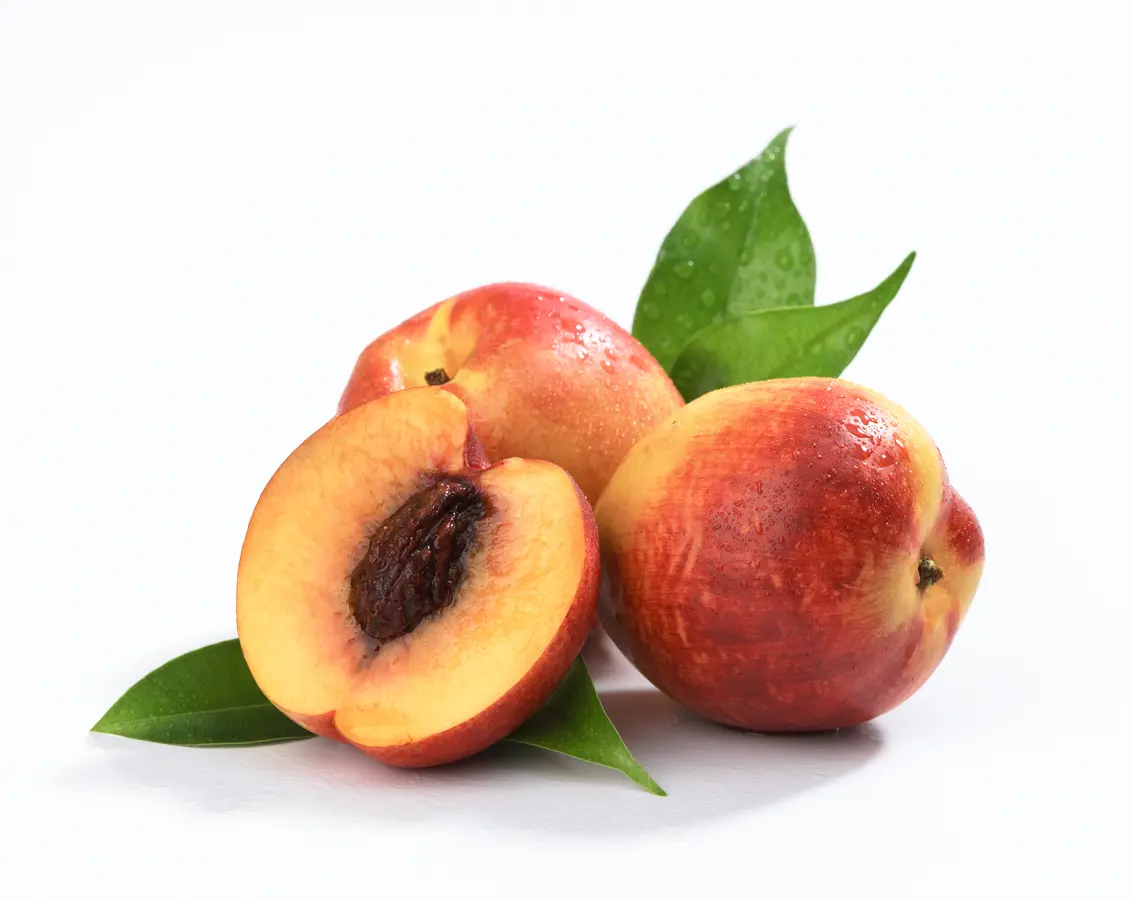 Fantasia Nectarine Tree
