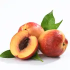 Fantasia Nectarine Tree