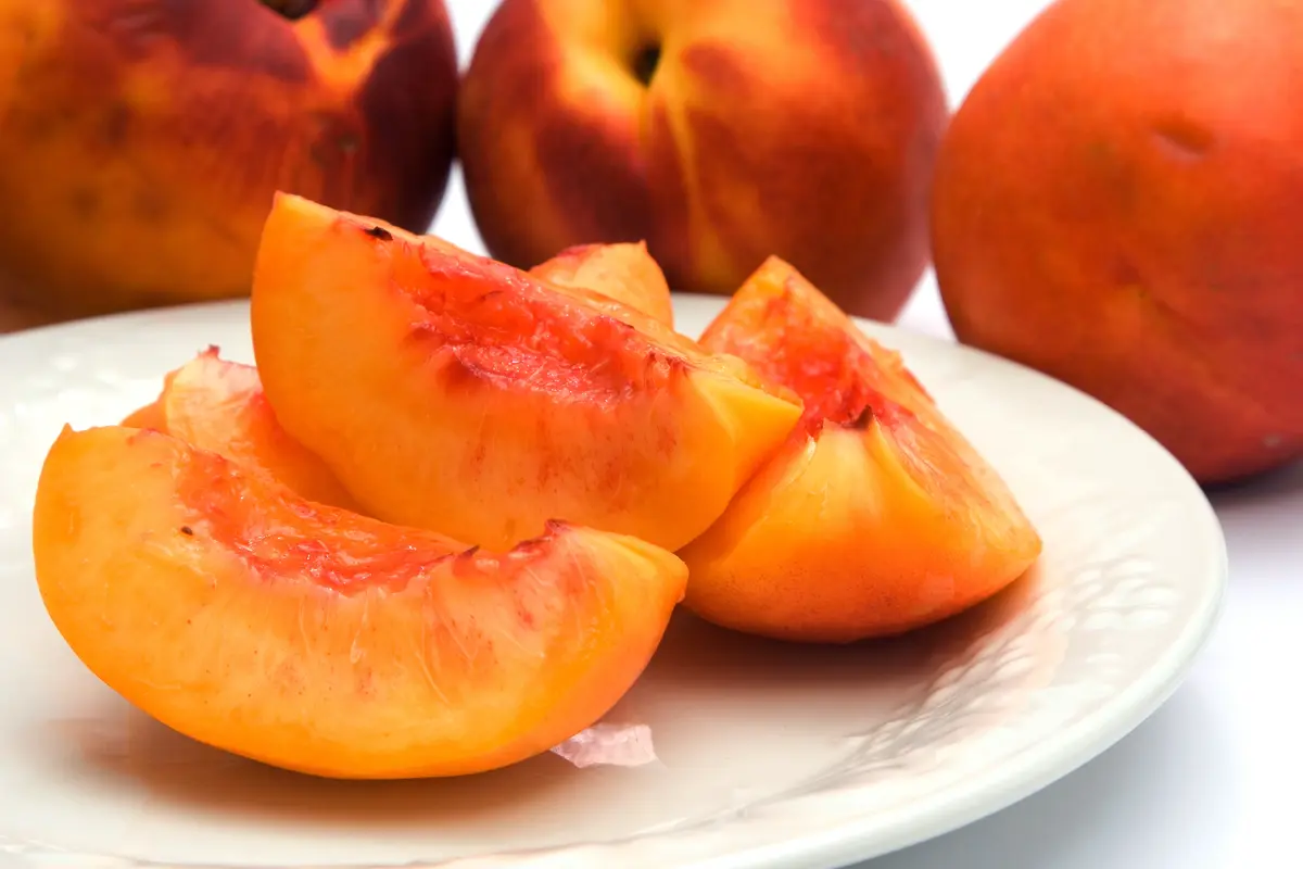 Fantasia Nectarine Tree