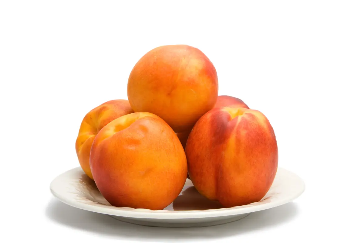 Goldmine Nectarine Tree