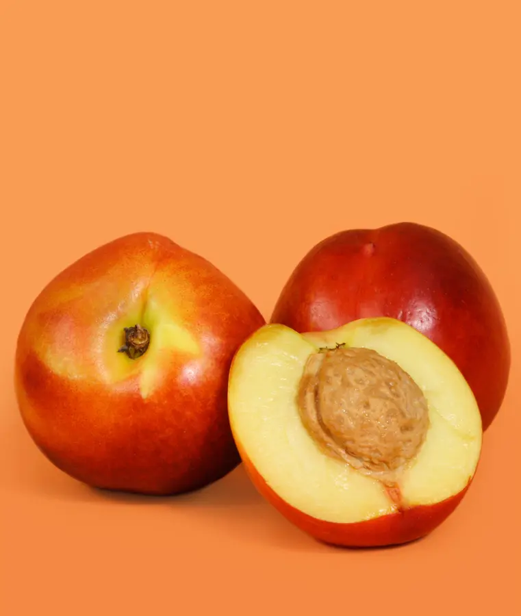 Goldmine Nectarine Tree