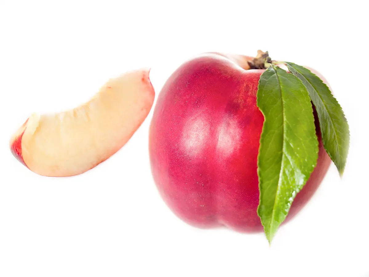 Arctic Fantasy Nectarine Tree Arctic Fantasy Nectarine Tree