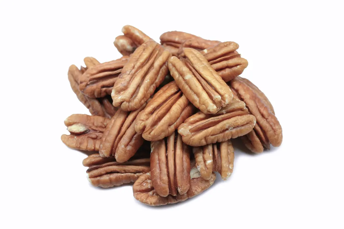 Sumner Pecan Tree Sumner Pecan Tree