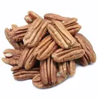 Sumner Pecan Tree