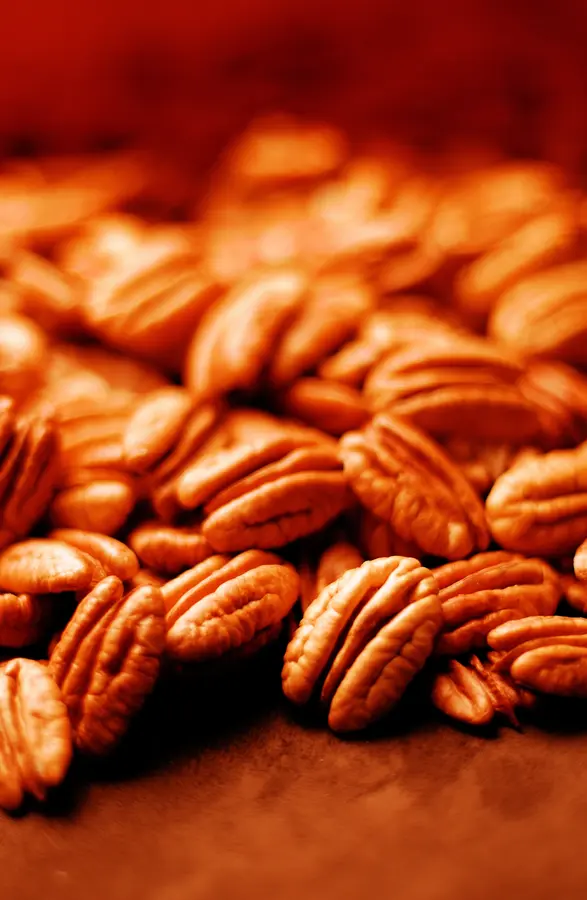 Pecan (Native Hardy Seedling)