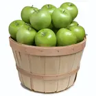 Dwarf Granny Smith Apple Tree