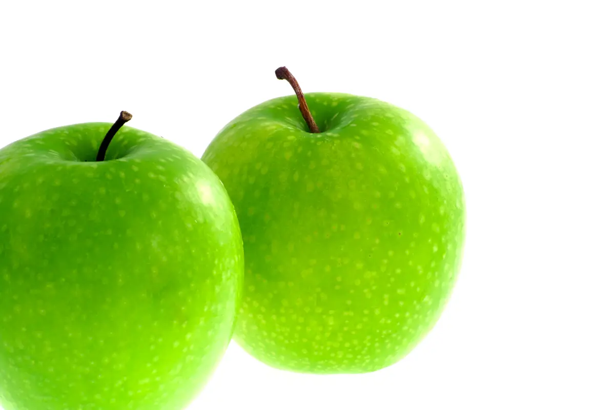 Dwarf Granny Smith Apple Tree Dwarf Granny Smith Apple Tree