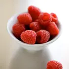 Latham Raspberry Plant