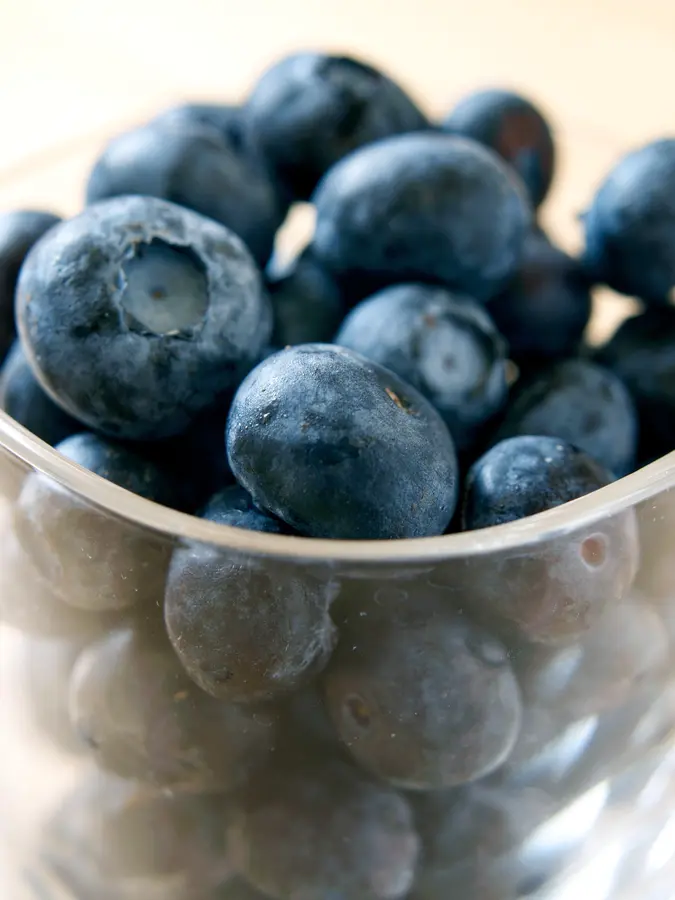 Delite Blueberry Plant Delite Blueberry Plant