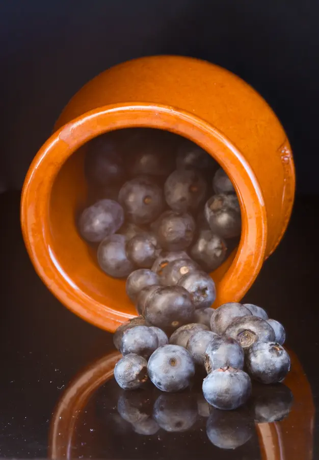 Tifblue Blueberry Plant Tifblue Blueberry Plant