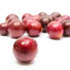 Southern Dixie Muscadine