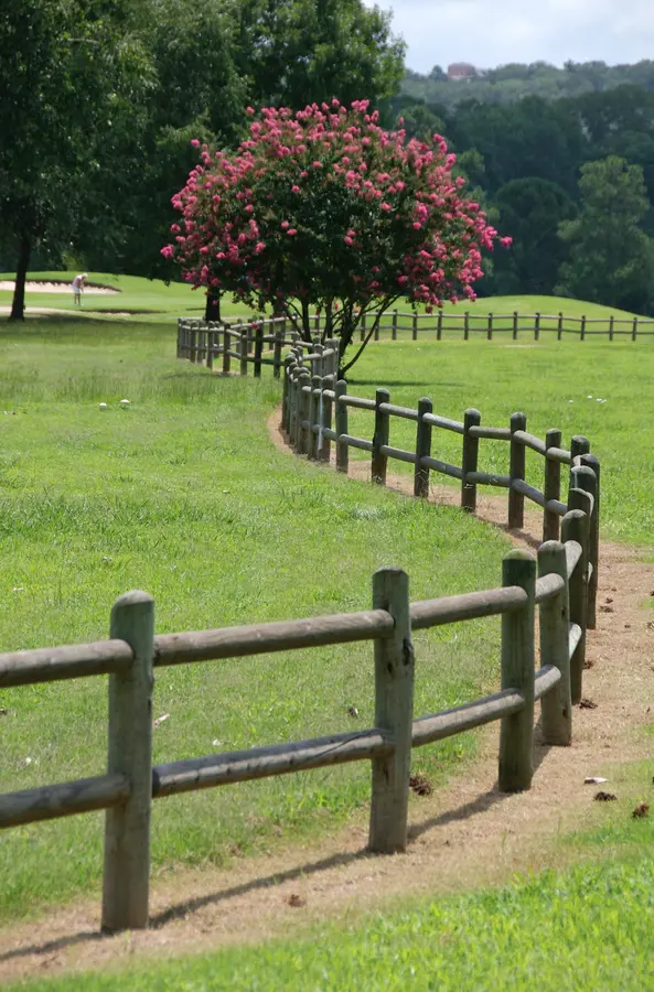 Choctaw Crepe Myrtle