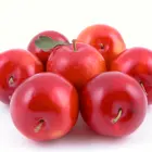 Autumn Rosa Plum Tree