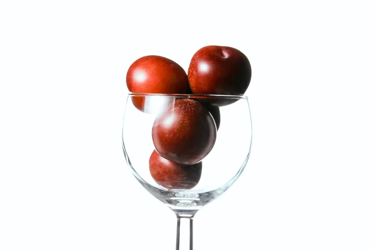 Burgundy Plum Tree