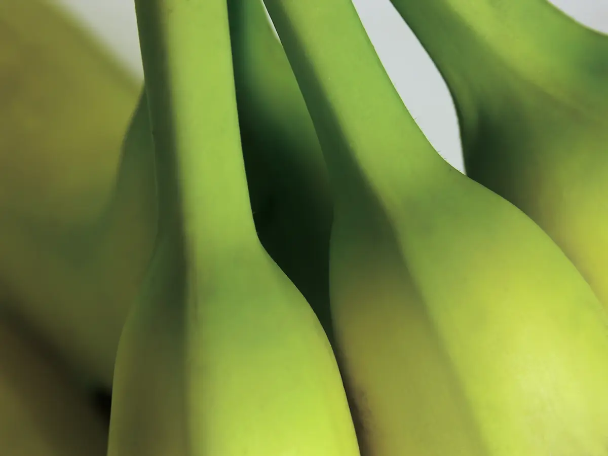 Pineapple Banana Plant Pineapple Banana Plant