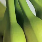 Pineapple Banana Plant