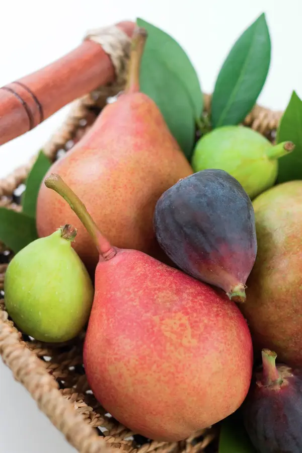 Sugar Pear Tree