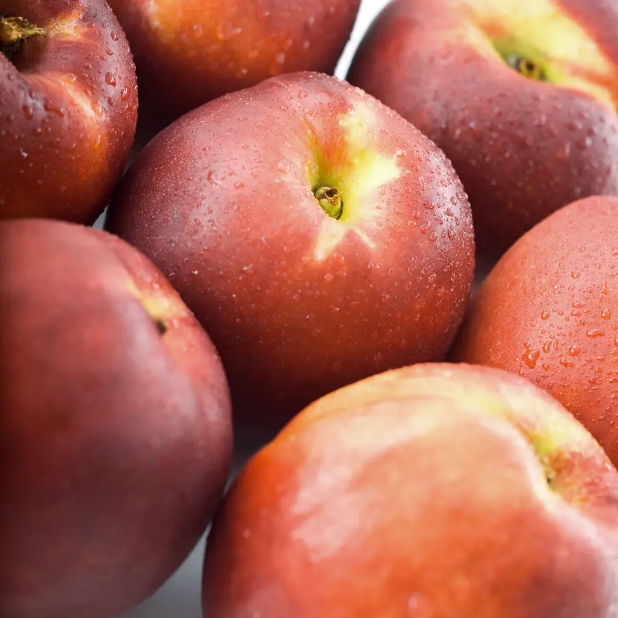 Sunred Nectarine Tree Sunred Nectarine Tree