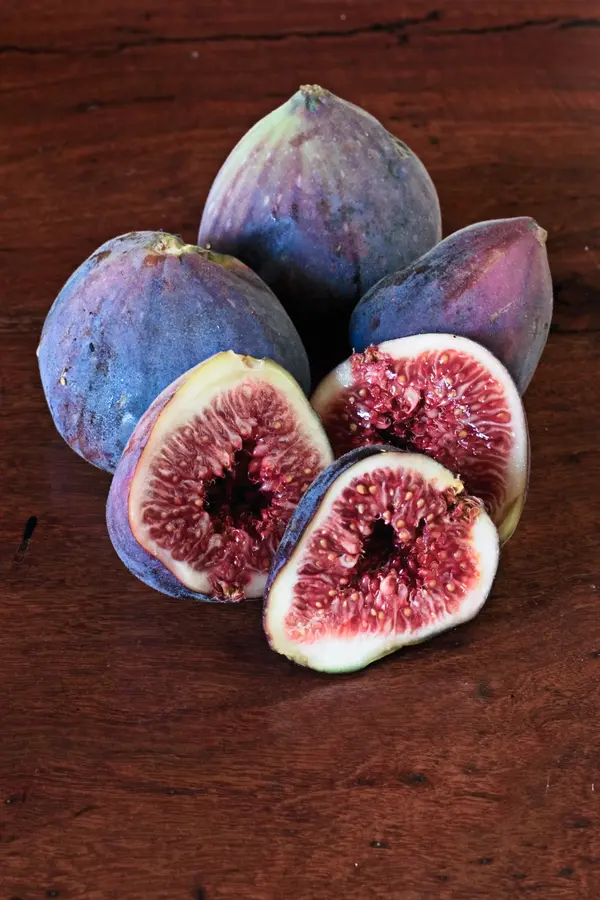 Italian Everbearing Fig Tree