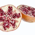 White Pomegranate Tree