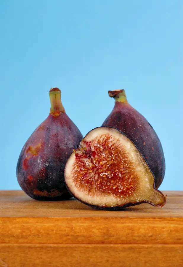 Brown Turkey Fig Tree