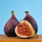 Brown Turkey Fig Tree