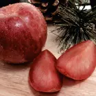Plumcot Hybrid Plum Tree