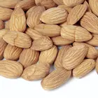 Nonpareil Almond Tree