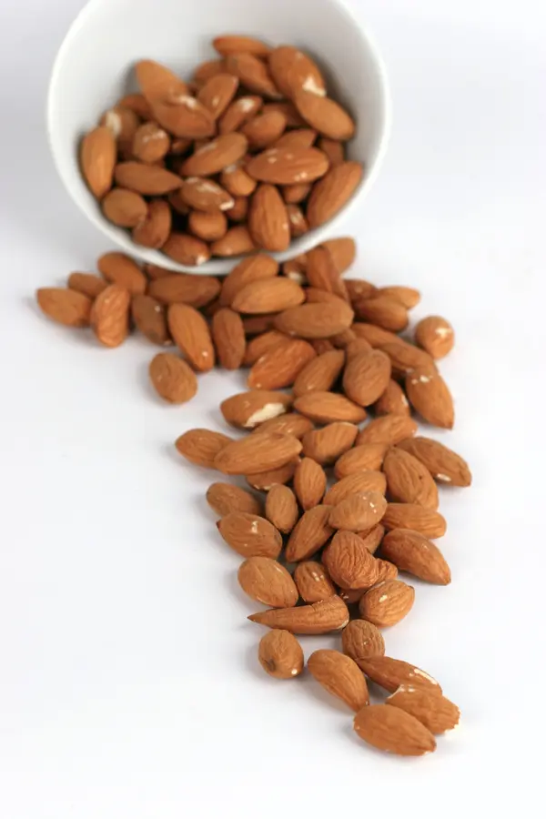 Ne Plus Almond Tree