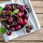 Stella Cherry Tree