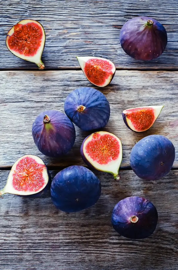 Chicago Hardy Fig Tree