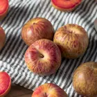 Dapple Dandy Pluot Tree Dapple Dandy Pluot Tree