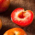 Dapple Dandy Pluot Tree
