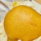 Korean Giant Asian Pear Korean Giant Asian Pear