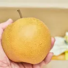 Korean Giant Asian Pear