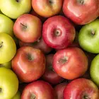 Apple Fest