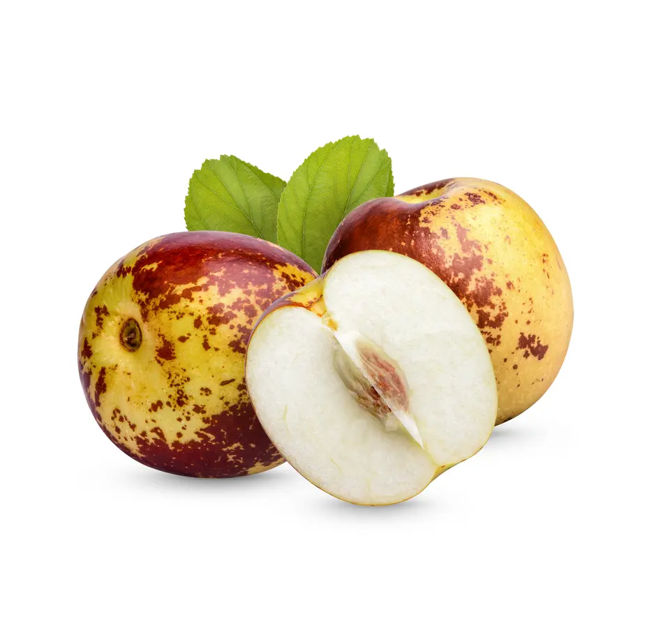 Sugar Cane Jujube Tree
