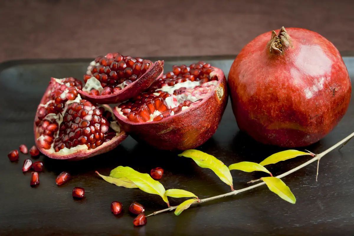Girkanets Pomegranate Tree