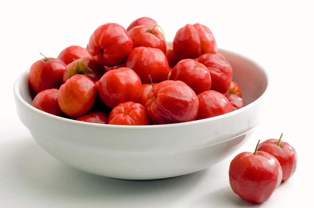 Barbados Cherry Barbados Cherry