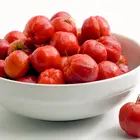 Barbados Cherry