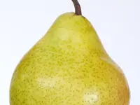Orient Pear Tree