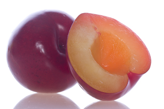 Autumn Rosa Plum Tree