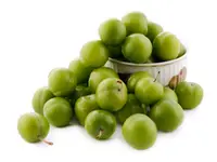 Green Gage Plum Tree