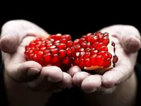 Grenada Pomegranate Tree