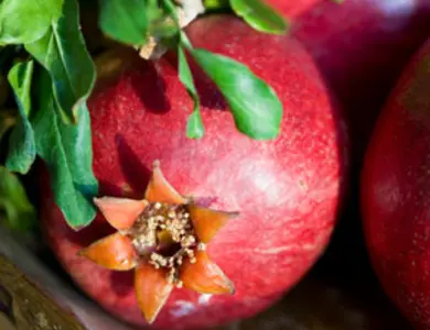 Wonderful Pomegranate Tree