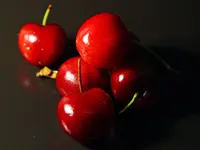 Dwarf North Star Cherry Tree